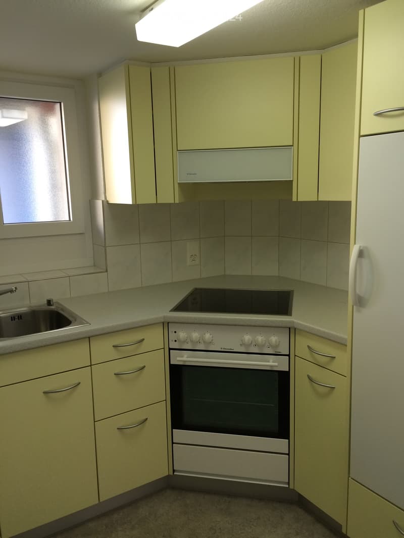 Compact kitchen with light-colored cabinets, a sink, an oven, and an induction cooktop.