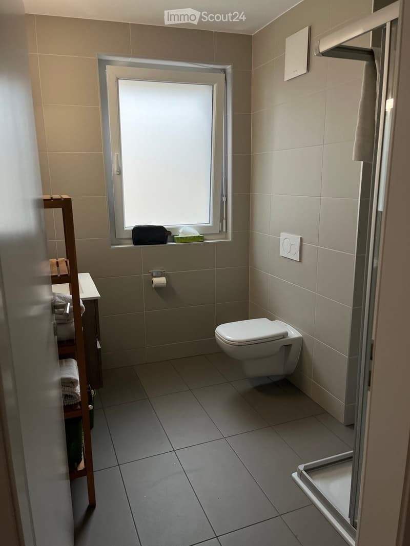 Modern bathroom with grey tiled walls and floor, white toilet, sink, towel rack, and a window with a small shelf holding a bag and tissue box.