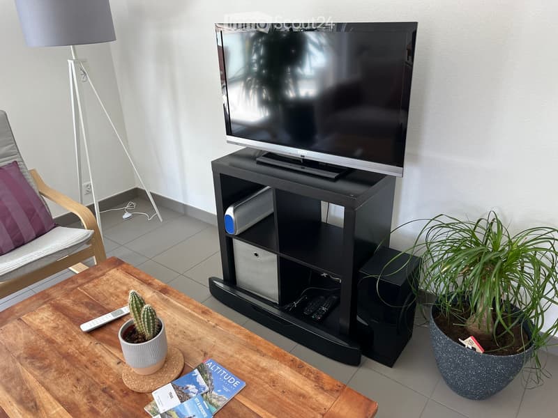 Modern living room with a wooden coffee table, sofa, flat-screen TV on a black stand, floor lamp, and potted plants.