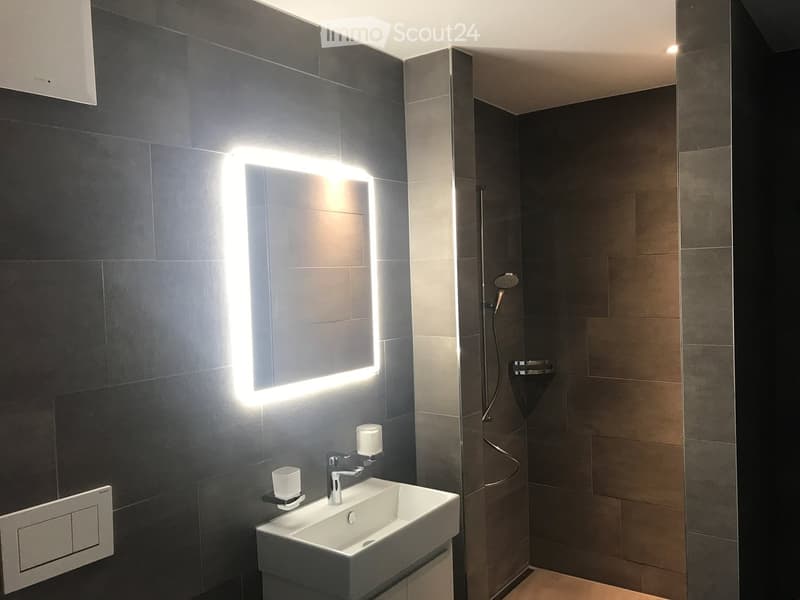 Modern bathroom with a white sink, chrome faucet, illuminated mirror, and a shower area with a handheld showerhead.
