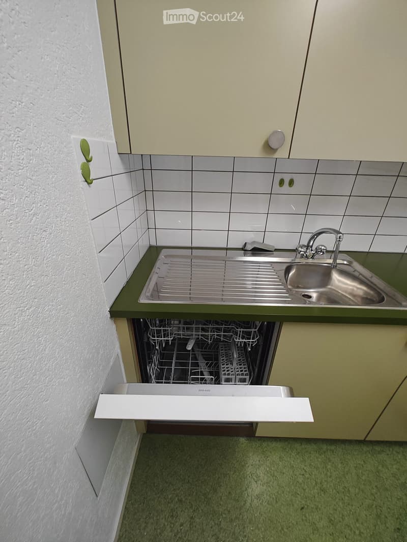 Compact kitchen with a stainless steel sink, faucet, and an open dishwasher below the counter.