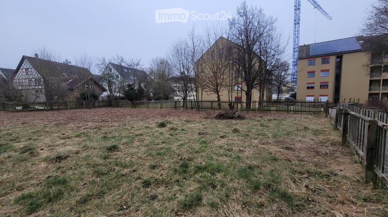 Empty yard enclosed by a wooden fence, with sparse grass and dry leaves, surrounded by residential buildings and trees.