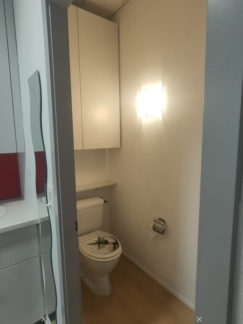 Compact bathroom with a toilet, sink, mirror, and cabinet. The toilet has a decorative flower arrangement on the seat. The walls are light-colored, and the floor is wooden.