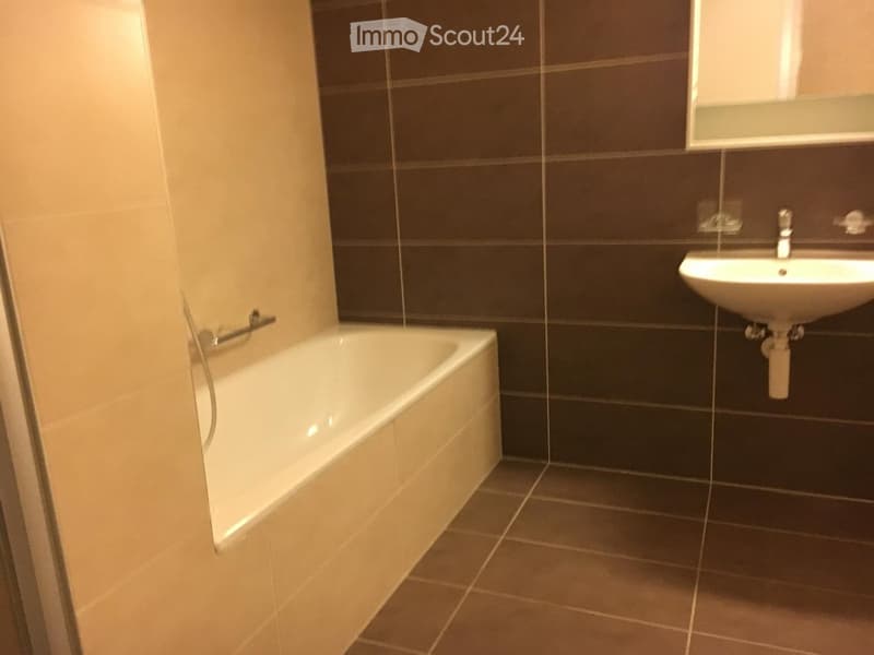 modern bathroom with bathtub and sink, brown tiles