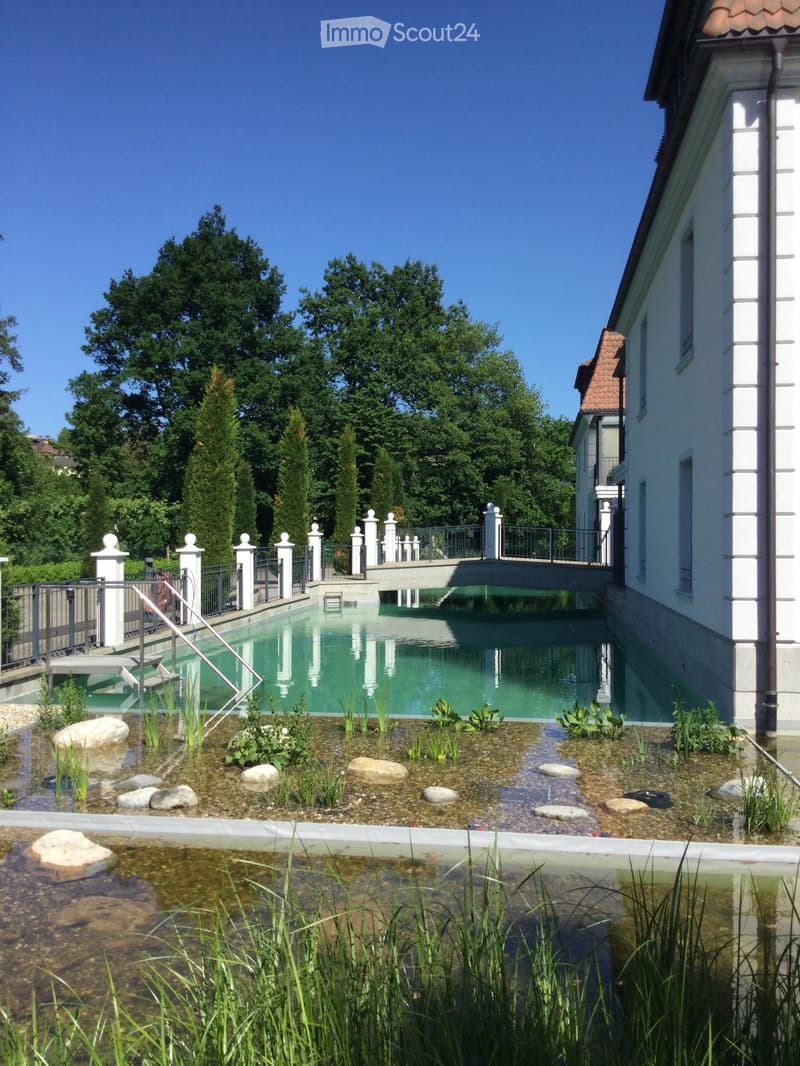 Outdoor area featuring a swimming pool with a surrounding garden, rocks, and plants.