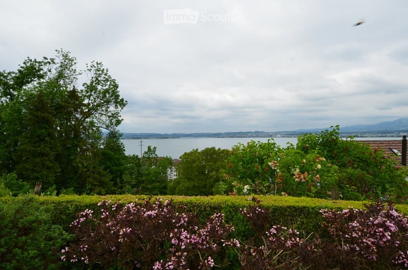 Garden with well-maintained hedges, flowering shrubs, and trees, overlooking a body of water and distant cityscape.