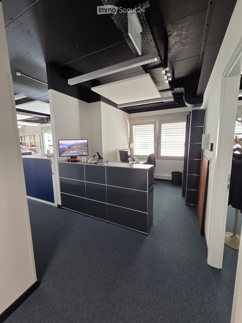 Office space with a reception desk, screen, chair, computer, telephone, flower vase, and cabinet. The room has white walls, blue carpeting, and large windows with blinds.