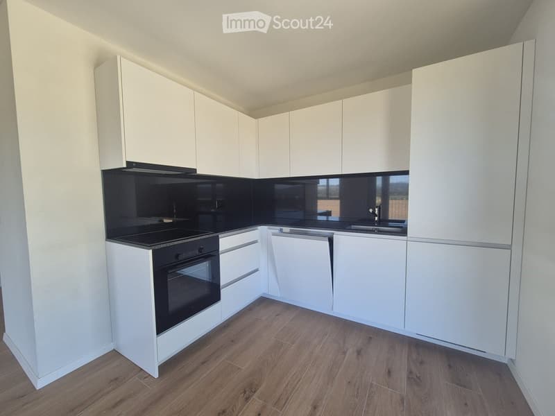 Modern kitchen with white cabinets, black backsplash, wooden flooring, and built-in oven and sink.