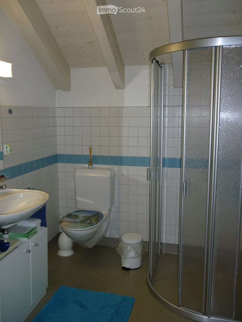 Bathroom with a toilet, sink, shower, cabinet, mirror, and a trash bin. The walls are tiled with white tiles and blue accents, and there is a blue rug on the floor.