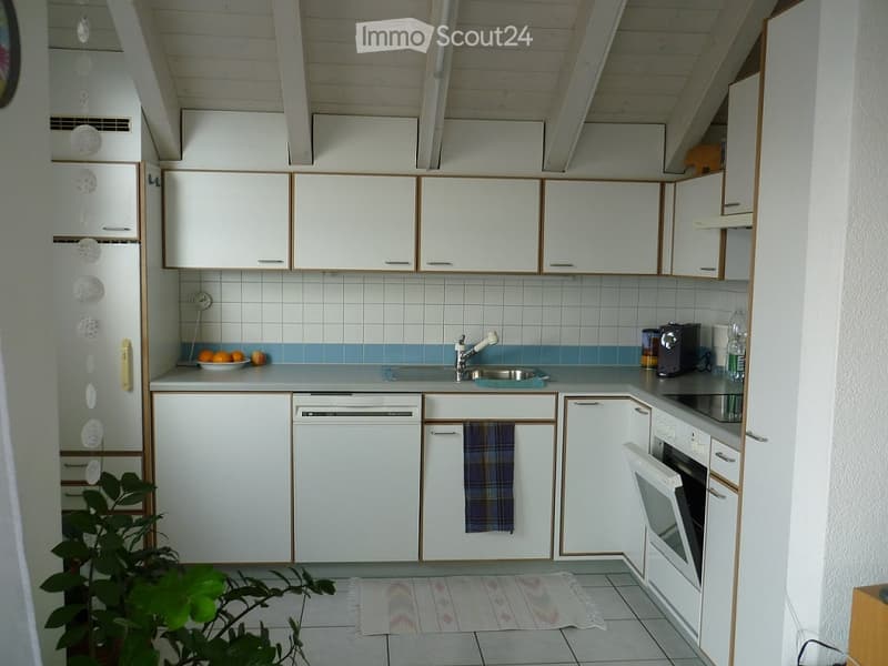 Bright kitchen with white cabinets, a sink, a dishwasher, and an oven. A small plant is visible in the foreground, and a plaid towel hangs from the oven door.