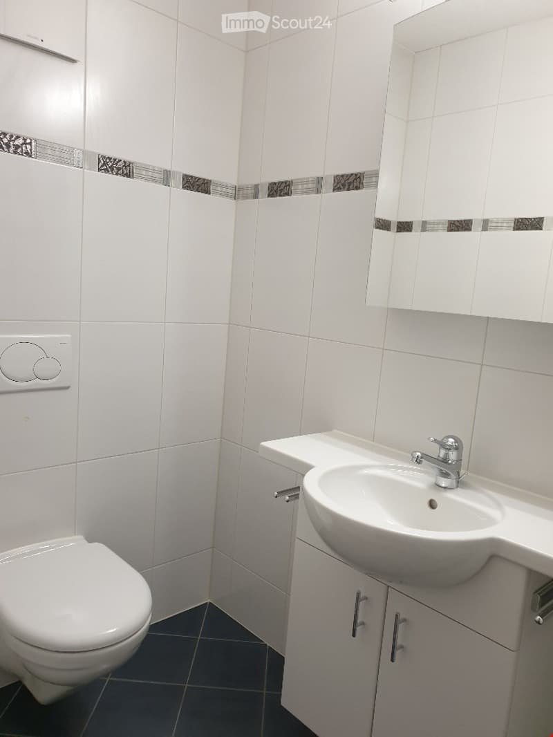 Modern bathroom with white tiles, dark blue floor tiles, a toilet, a sink with a modern faucet, and a mirrored cabinet.