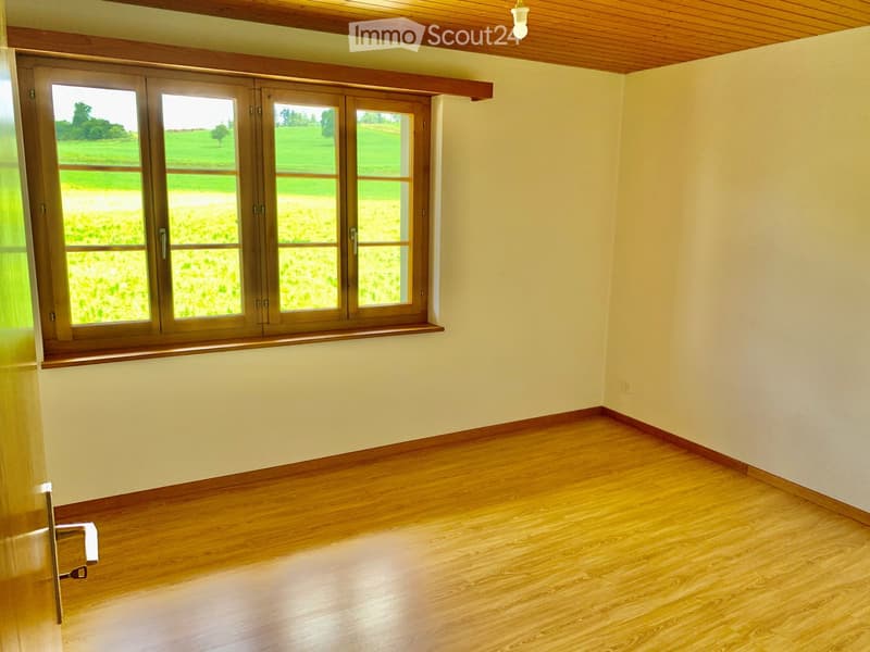 2.5 Zi.-Wohnung im idyllischen Maschwanden ZH (4)