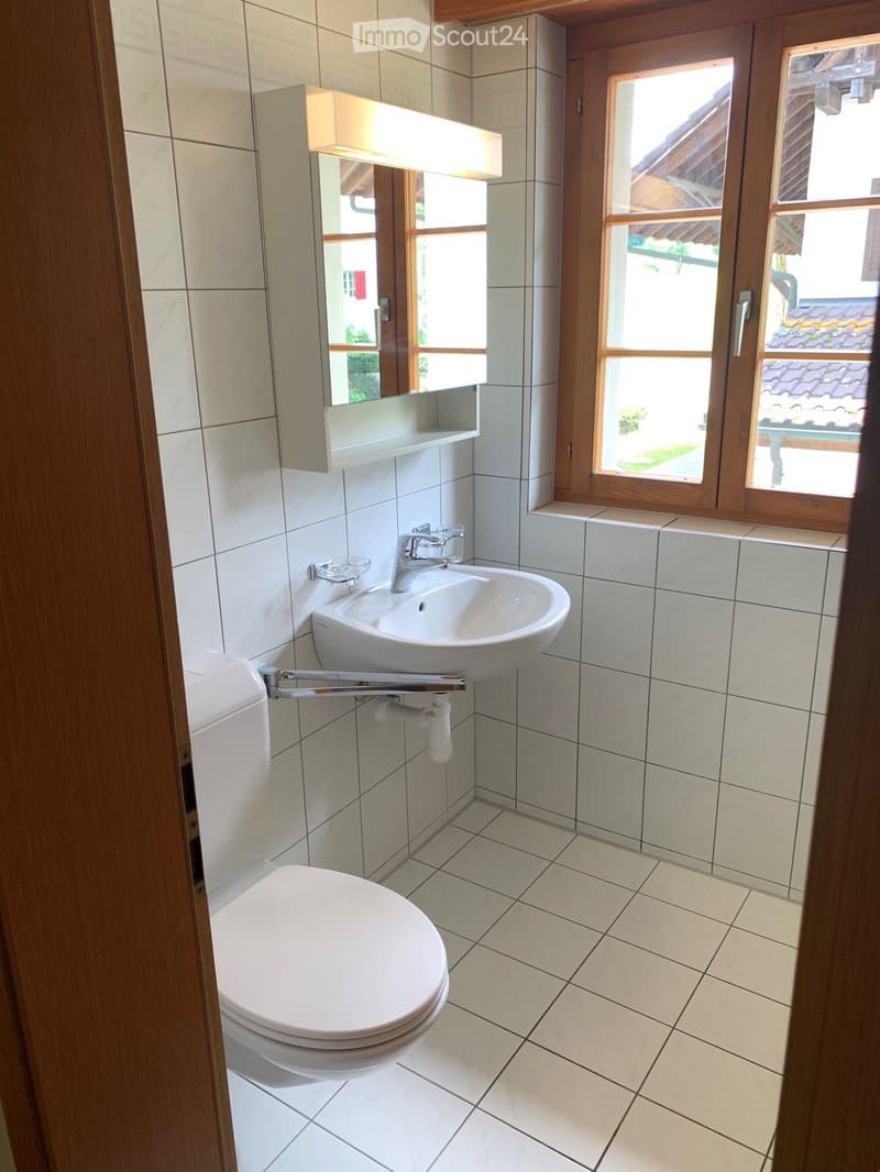 2.5 Zi.-Wohnung im idyllischen Maschwanden ZH (7)