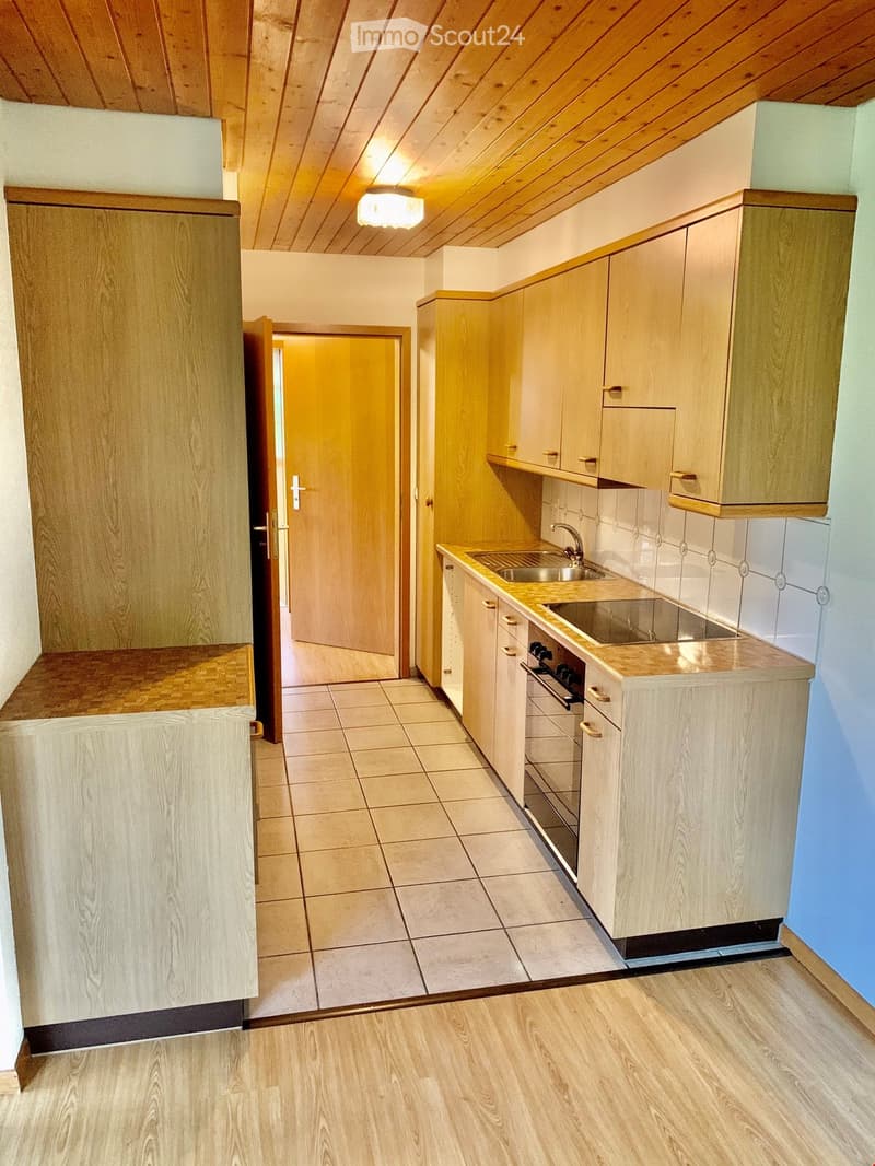 2.5 Zi.-Wohnung im idyllischen Maschwanden ZH (6)