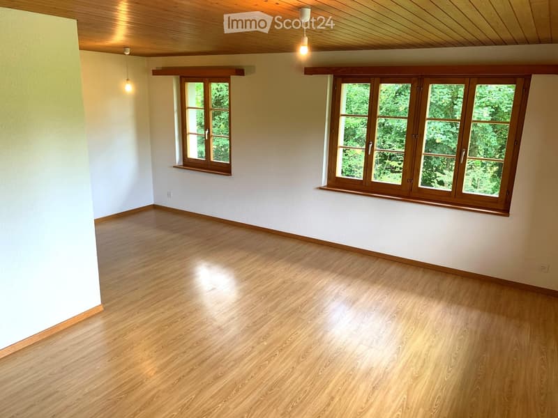 2.5 Zi.-Wohnung im idyllischen Maschwanden ZH (3)