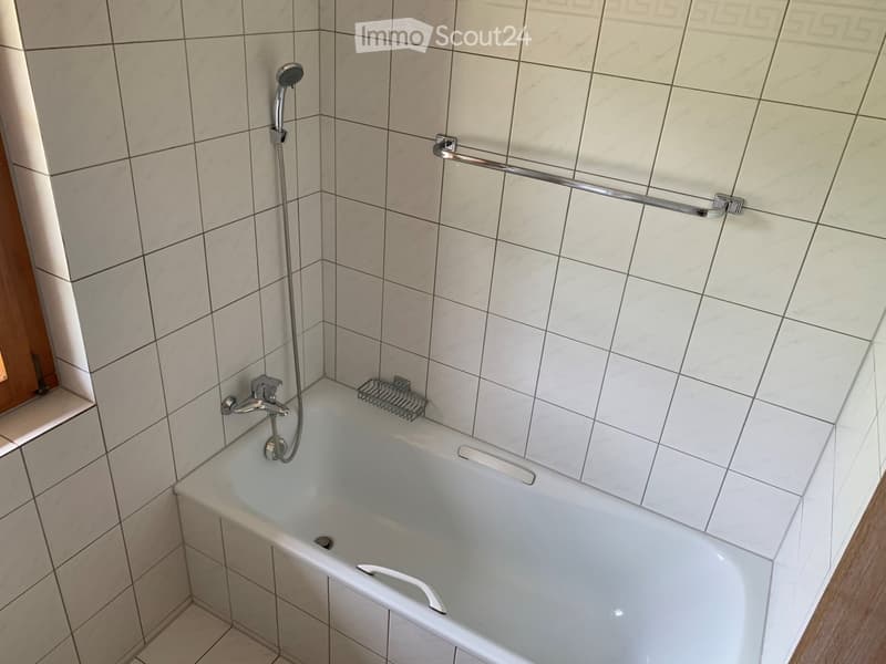2.5 Zi.-Wohnung im idyllischen Maschwanden ZH (8)