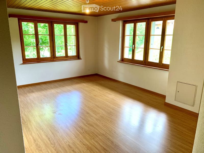 2.5 Zi.-Wohnung im idyllischen Maschwanden ZH (2)