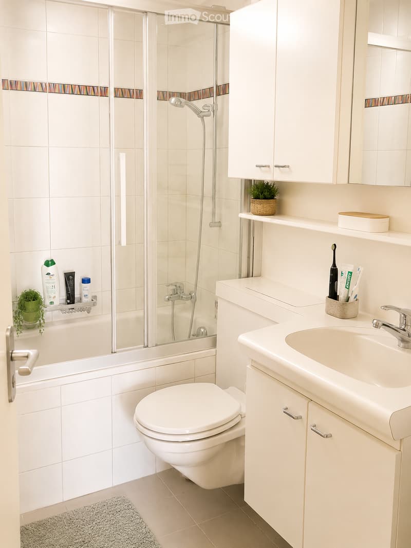Modern bathroom with white tiles, a bathtub with a glass shower enclosure, a toilet, a sink with a mirror, and a small cabinet. The countertop holds a toothbrush holder, a small potted plant, and a bottle of shampoo. The floor has a grey rug.