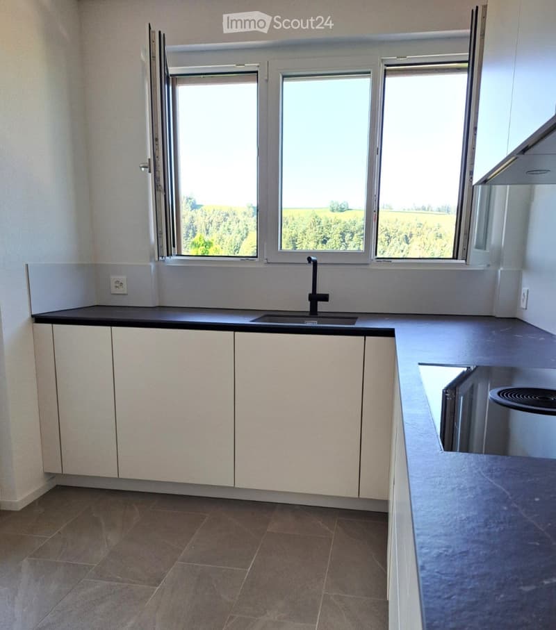 Modern kitchen with white cabinets, black countertop, sink, and large windows overlooking a green field.