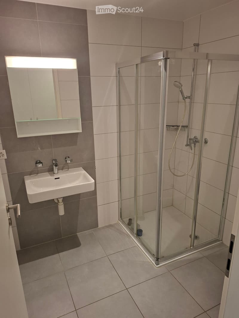 Modern bathroom with a white sink, mirror with built-in shelf, and a glass-enclosed shower with a handheld showerhead.