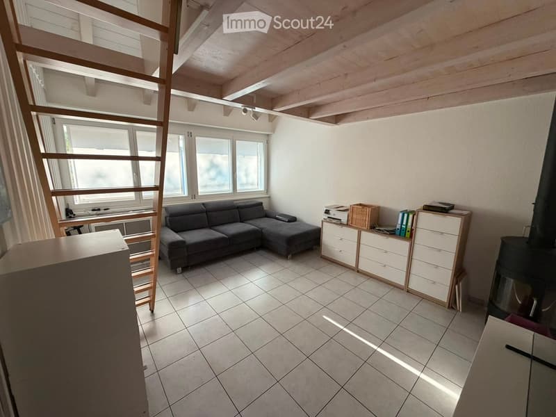 Bright living room with a grey sectional sofa, a wood stove, a printer on a small table, and a storage unit with drawers.