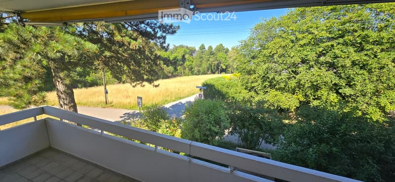 Balcony overlooking a lush, green landscape with trees, a road, and a grassy field.