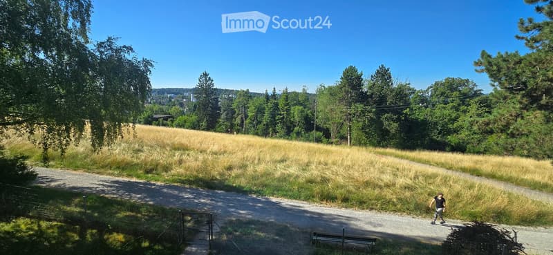 A grassy field with a gravel path, trees, and a person walking. The area is surrounded by greenery and has a clear blue sky.
