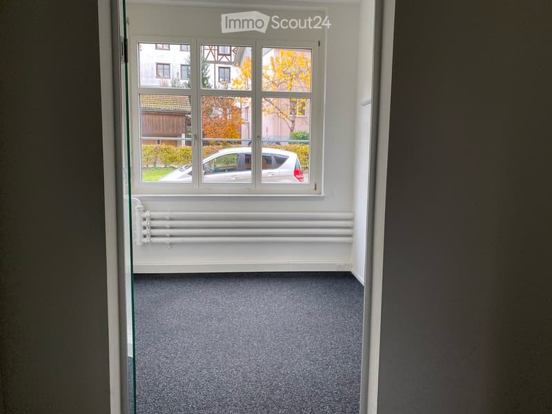 Empty room with grey carpeted floor, white walls, large window with multiple panes, radiator below the window, and a glass door leading outside.