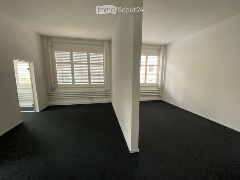 Empty room with white walls, dark carpet, large windows with blinds, and a radiator under one window.
