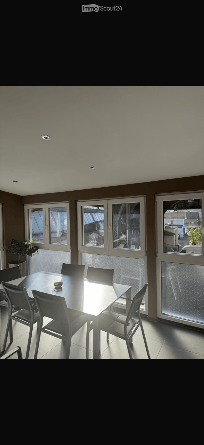 Dining room with a modern dining table and chairs, large windows with frosted glass panels, and a potted plant near the window.