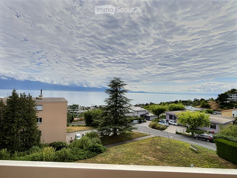 View from a balcony showing a grassy area, trees, parked cars, and a scenic view of a lake and distant mountains.