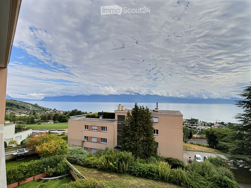 Balcony view overlooking a residential area with a lake and distant mountains.