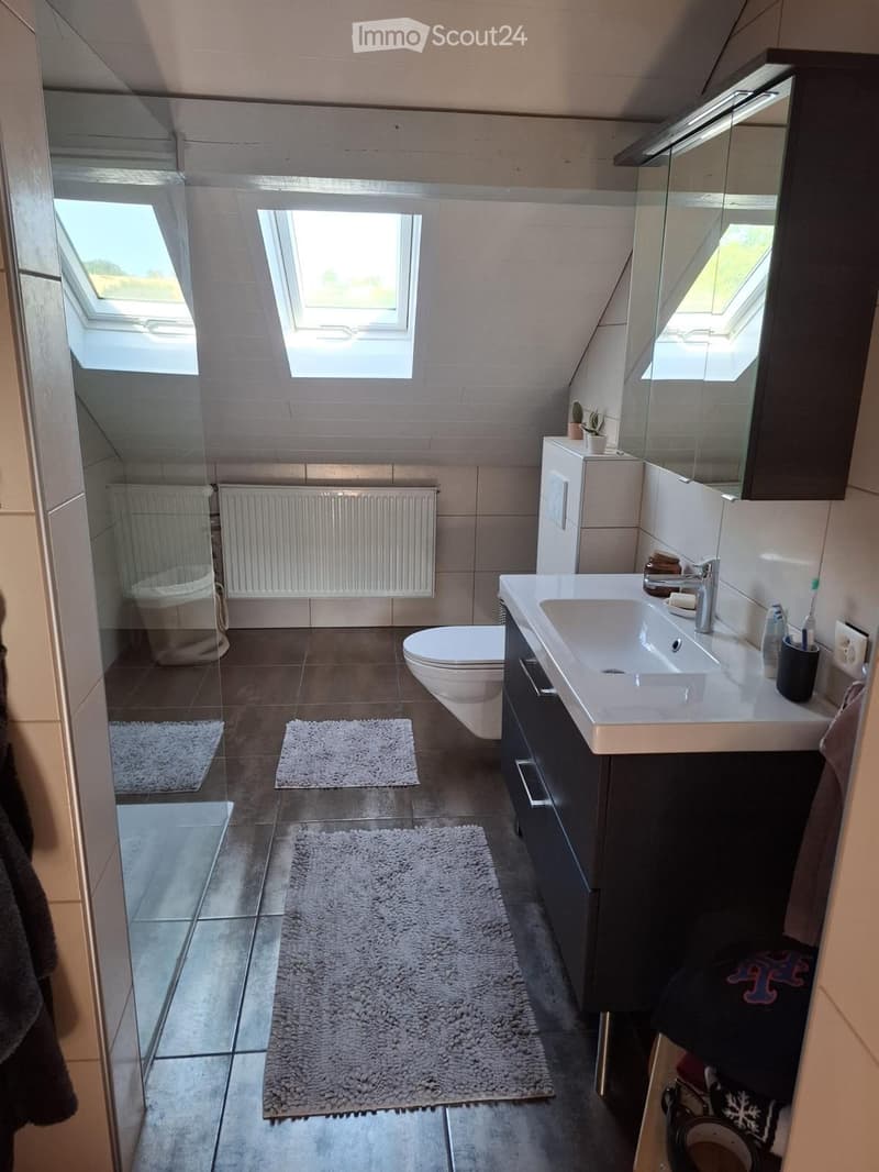 Modern bathroom with a sink, toilet, shower, and mirror. Features include a radiator, small plants, and multiple rugs on the floor.