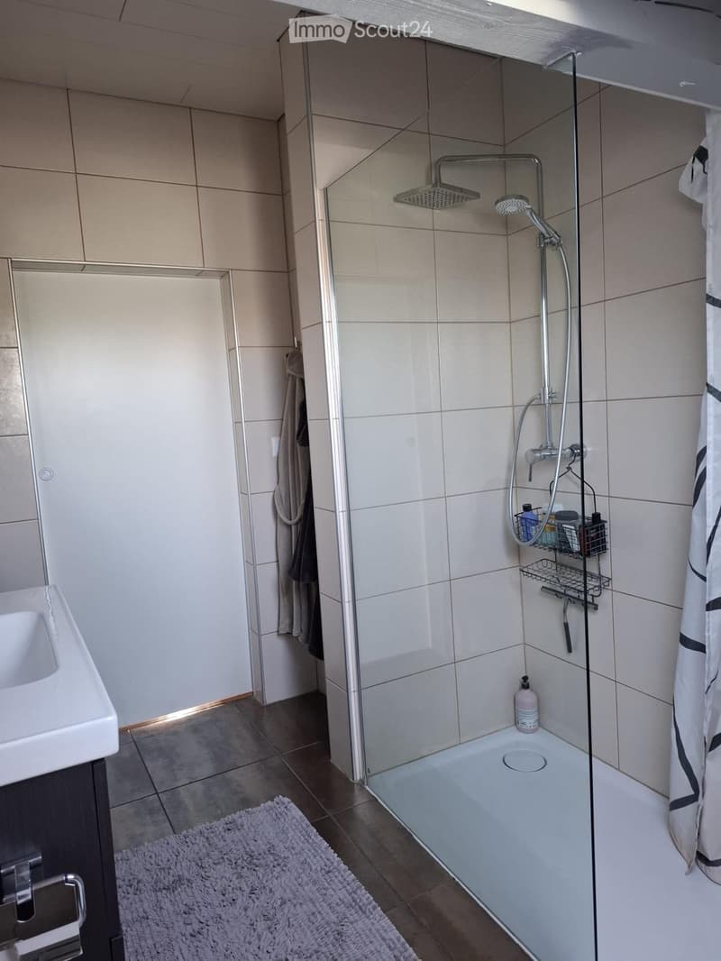 Modern bathroom with a glass-enclosed shower, a sink, a towel, a bathroom rug, and a shower shelf holding toiletries.