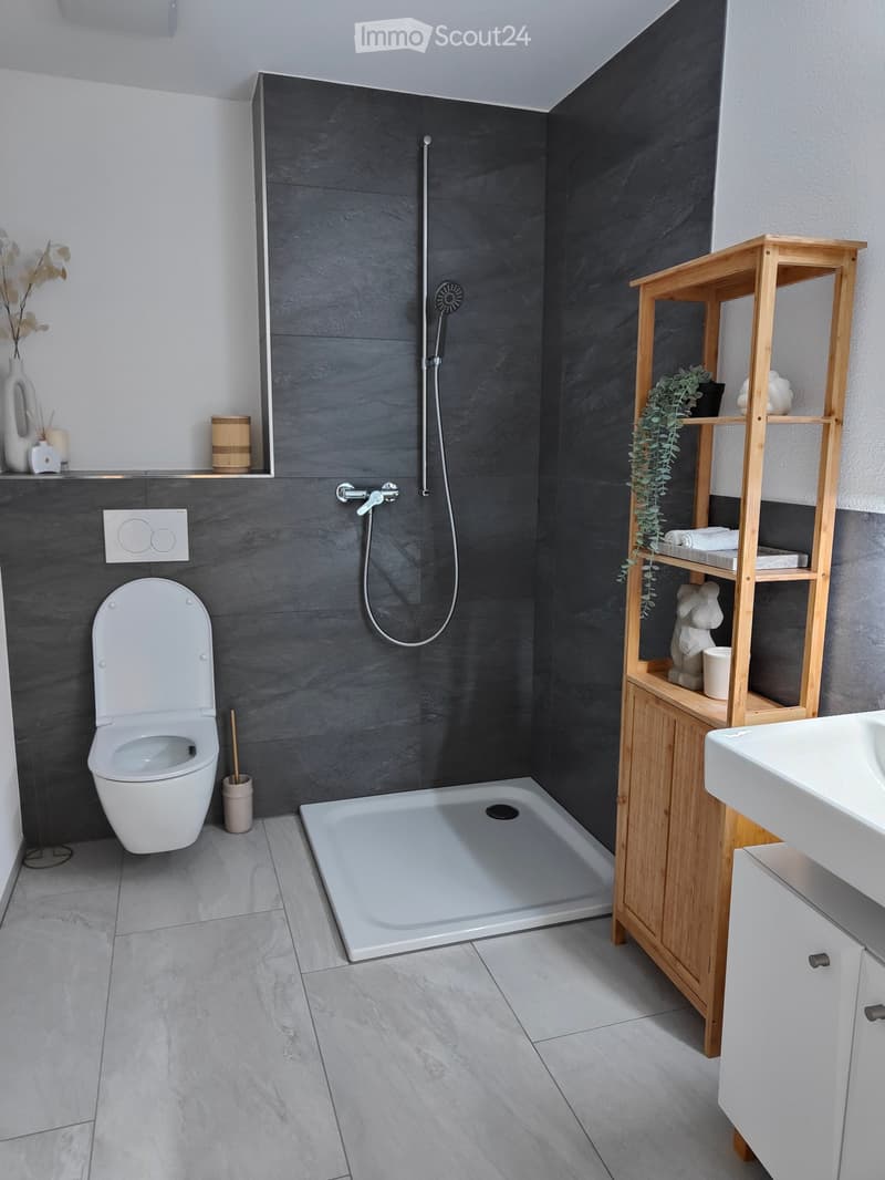 Modern bathroom with dark grey tiles, white toilet, shower, sink, wooden shelf with plant and decorative items, and a vase on the counter.