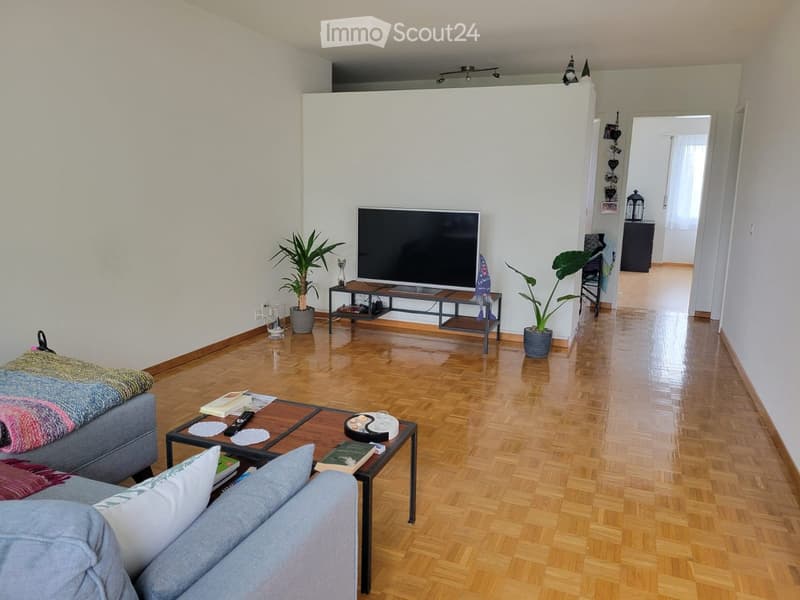 Modern living room with wooden flooring, a grey sofa, coffee table, television, and decorative plants.