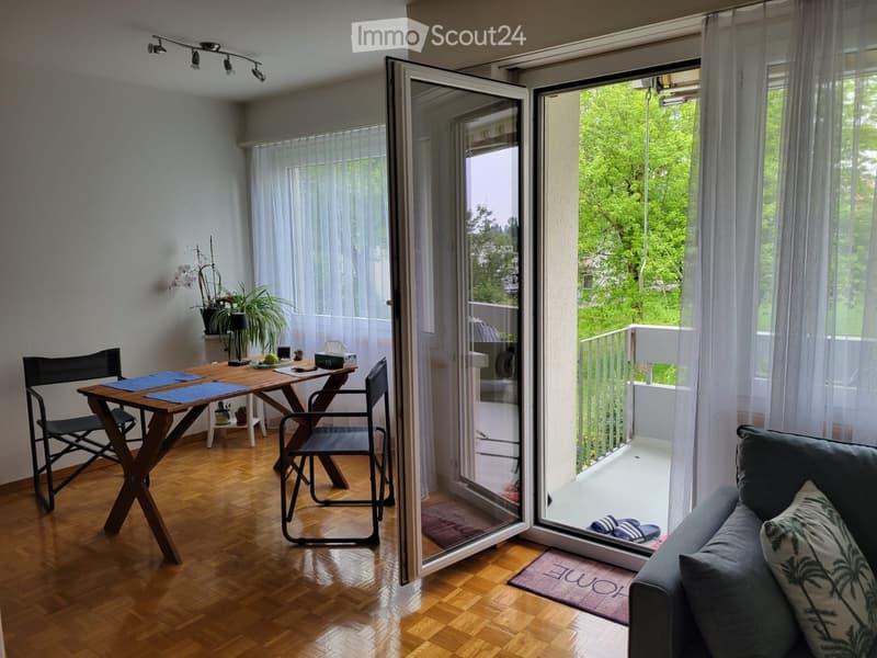 Bright living room with wooden flooring, large sliding glass doors opening to a balcony, sofa, dining table with chairs, and decorative plants.