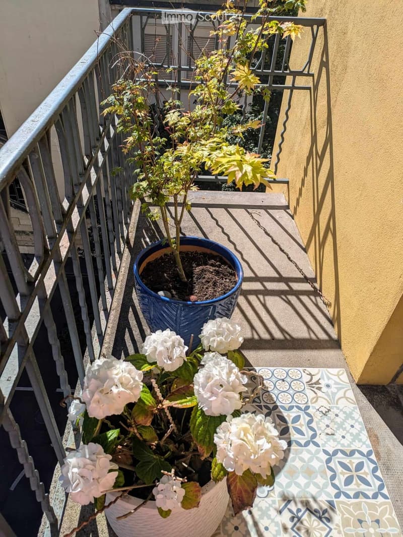 Balcony with metal railing, potted plants, and a small table with a decorative cloth.