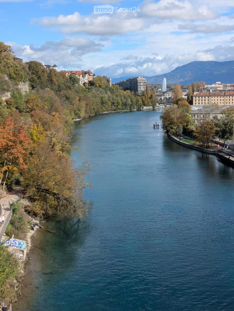 A scenic view of a river with autumn foliage on both sides, featuring a pathway along the riverbank and distant buildings and mountains.
