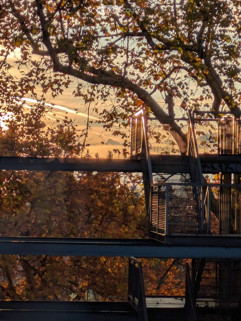 A metal balcony with stairs, surrounded by autumn trees and a view of the cityscape at sunset.