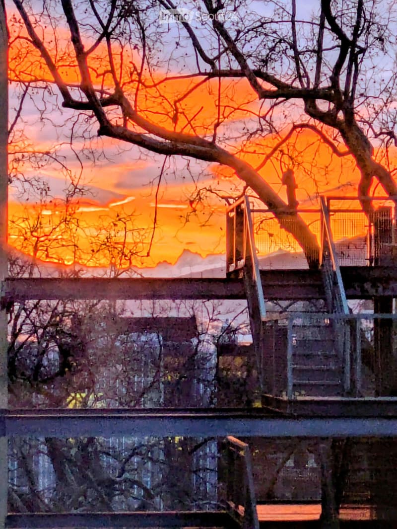 Balcony with metal railing, overlooking a cityscape at sunset, with bare tree branches in the foreground.