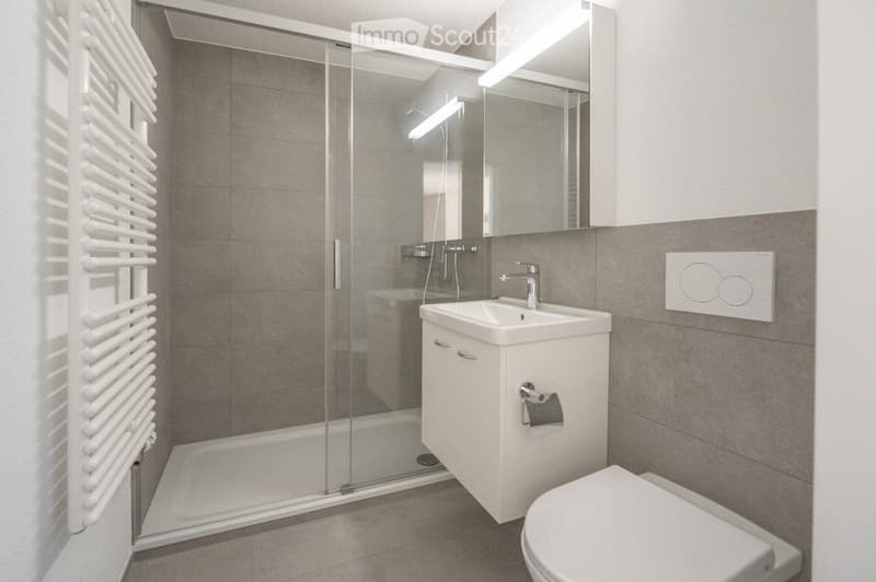 Modern bathroom with a white sink, toilet, mirror, glass-enclosed shower, and a white radiator on the wall.