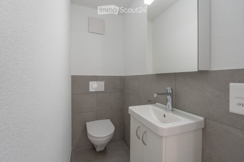 Modern bathroom with a white toilet, a white sink with a chrome faucet, and a mirrored cabinet above the sink. The walls are tiled in a two-tone design with light grey upper tiles and darker grey lower tiles.