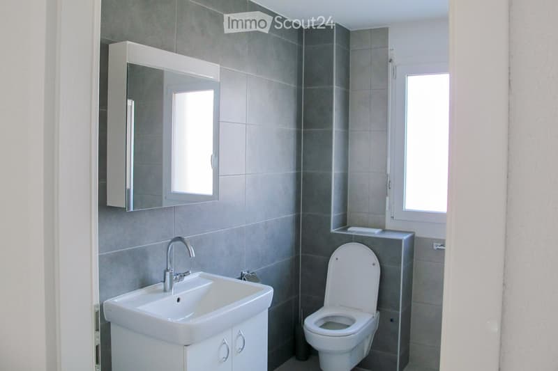 Modern bathroom with grey tiled walls, white sink, chrome faucet, toilet, mirrored cabinet, and two windows providing natural light.