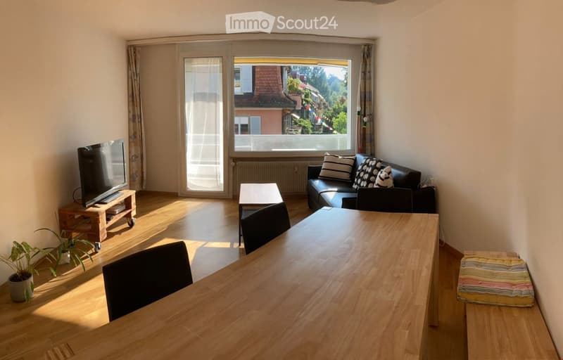 Living room, large windows, balcony, TV, couch, wooden table, wooden floor, chair, coffee table, potted plants
