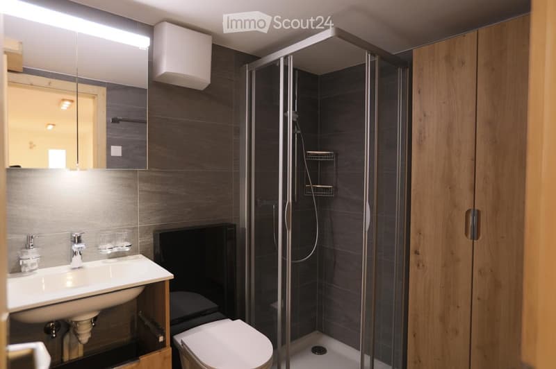 Modern bathroom with a white sink, chrome faucet, large mirror, toilet, and a glass-enclosed shower with a modern showerhead. Wooden cabinets line the walls, and the space features dark grey tiles.