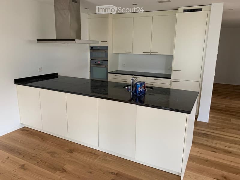 Modern kitchen with white cabinets, black countertop, and stainless steel appliances including an oven and sink.