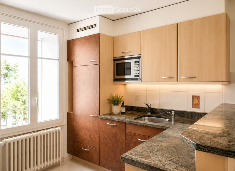Modern kitchen with light wood cabinets, granite countertops, stainless steel sink, microwave, and a small potted plant on the counter.