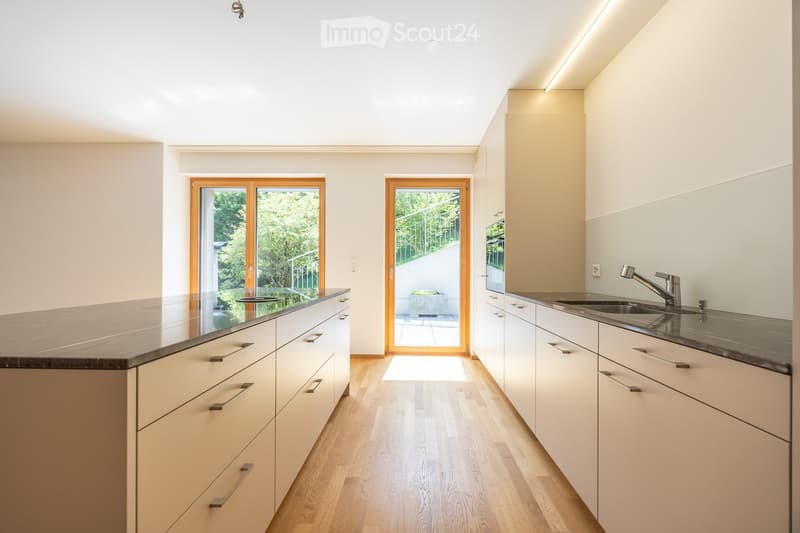 Modern kitchen with white cabinets, dark countertops, and wooden flooring. Features a sink with a modern faucet, and two sets of double doors leading to outdoor spaces.