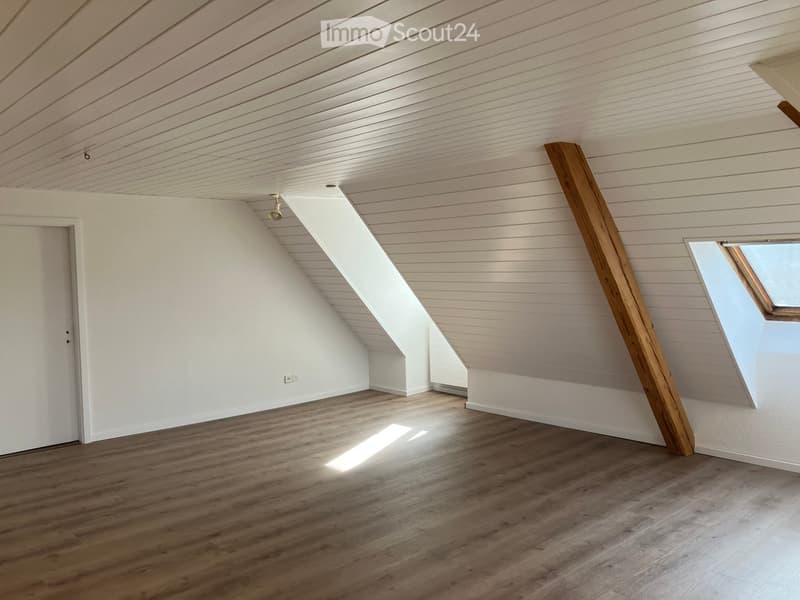 Empty attic space with wooden floors, white paneled ceiling, and skylight windows allowing natural light.
